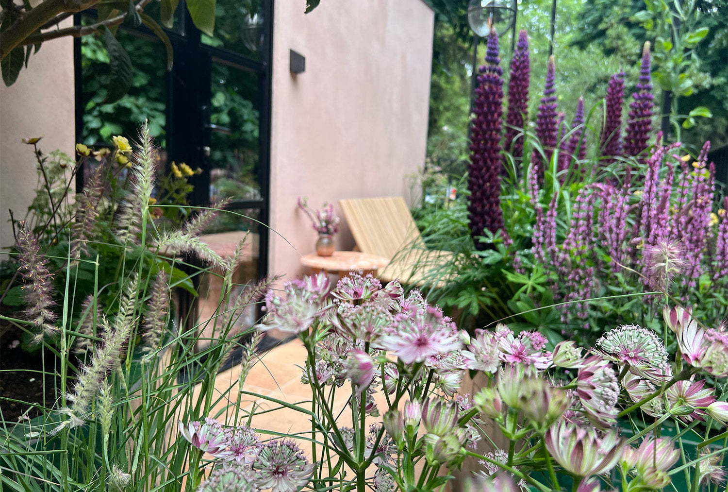 Big impact, small footprint: balcony & container gardens at Chelsea 2025