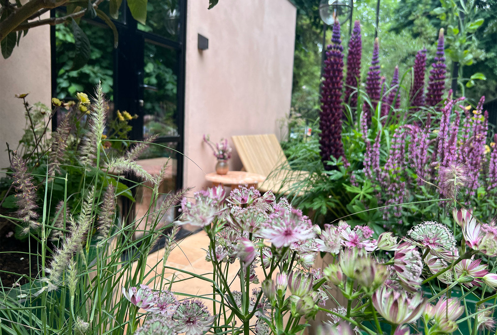 Big impact, small footprint: balcony & container gardens at Chelsea 2025