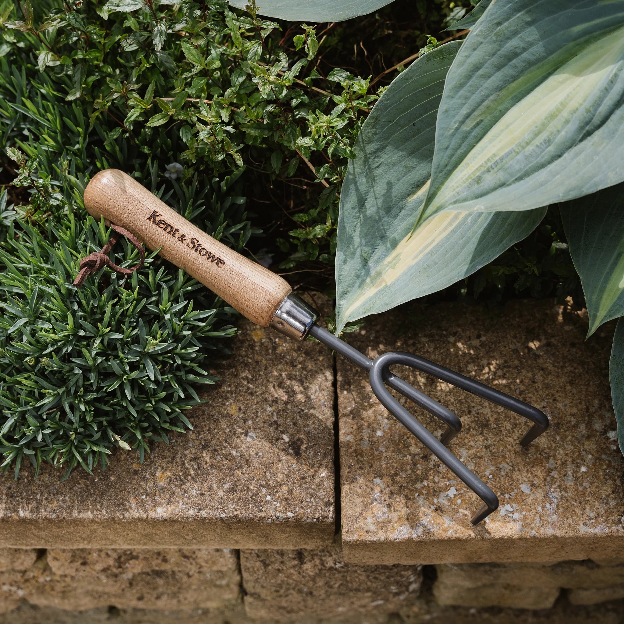 Carbon Steel Hand 3 Prong Cultivator by Kent & Stowe