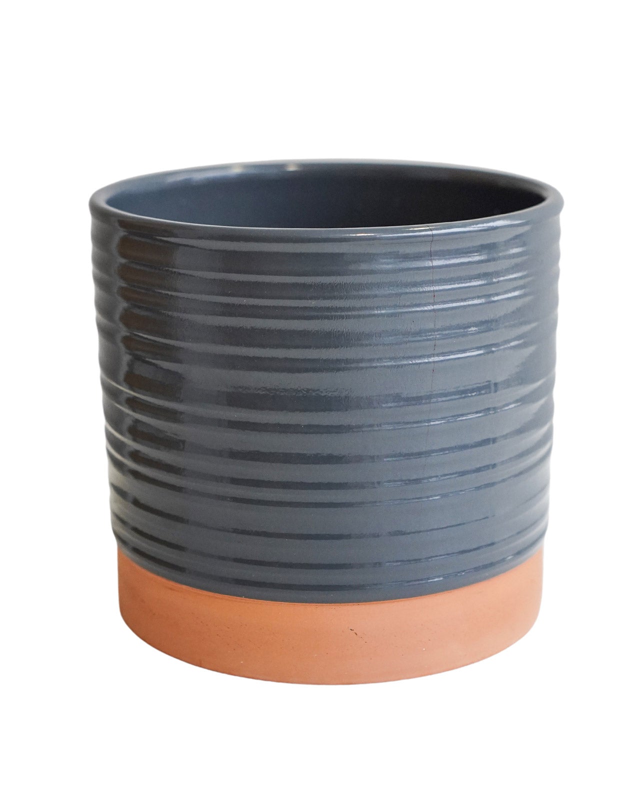 Bramwell Bluebell Planter