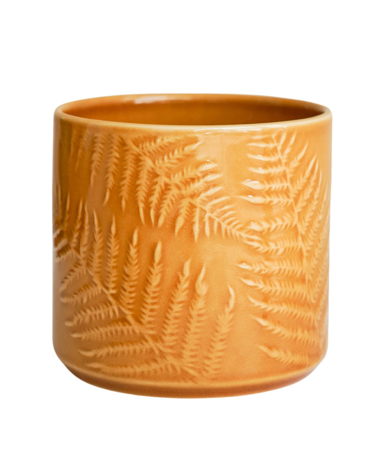 Orla Glazed Fern Mustard Planter