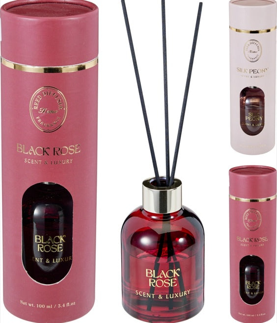 DIFFUSER 100ML 6X10CM 2ASS
