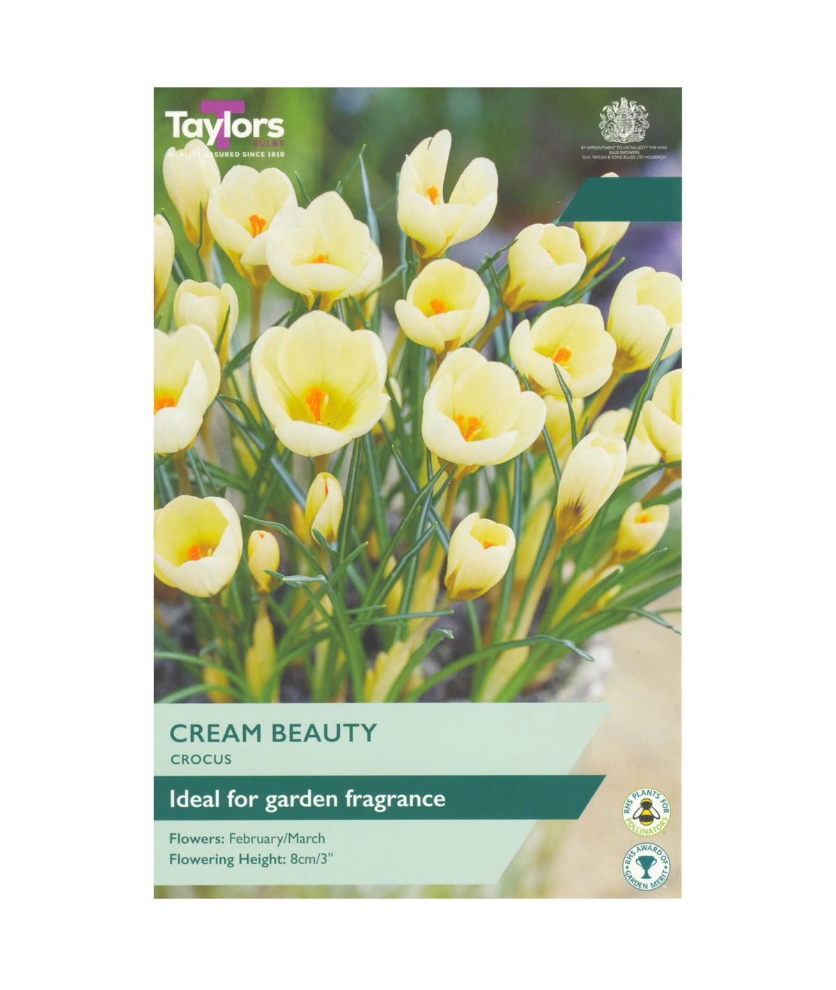 Crocus &