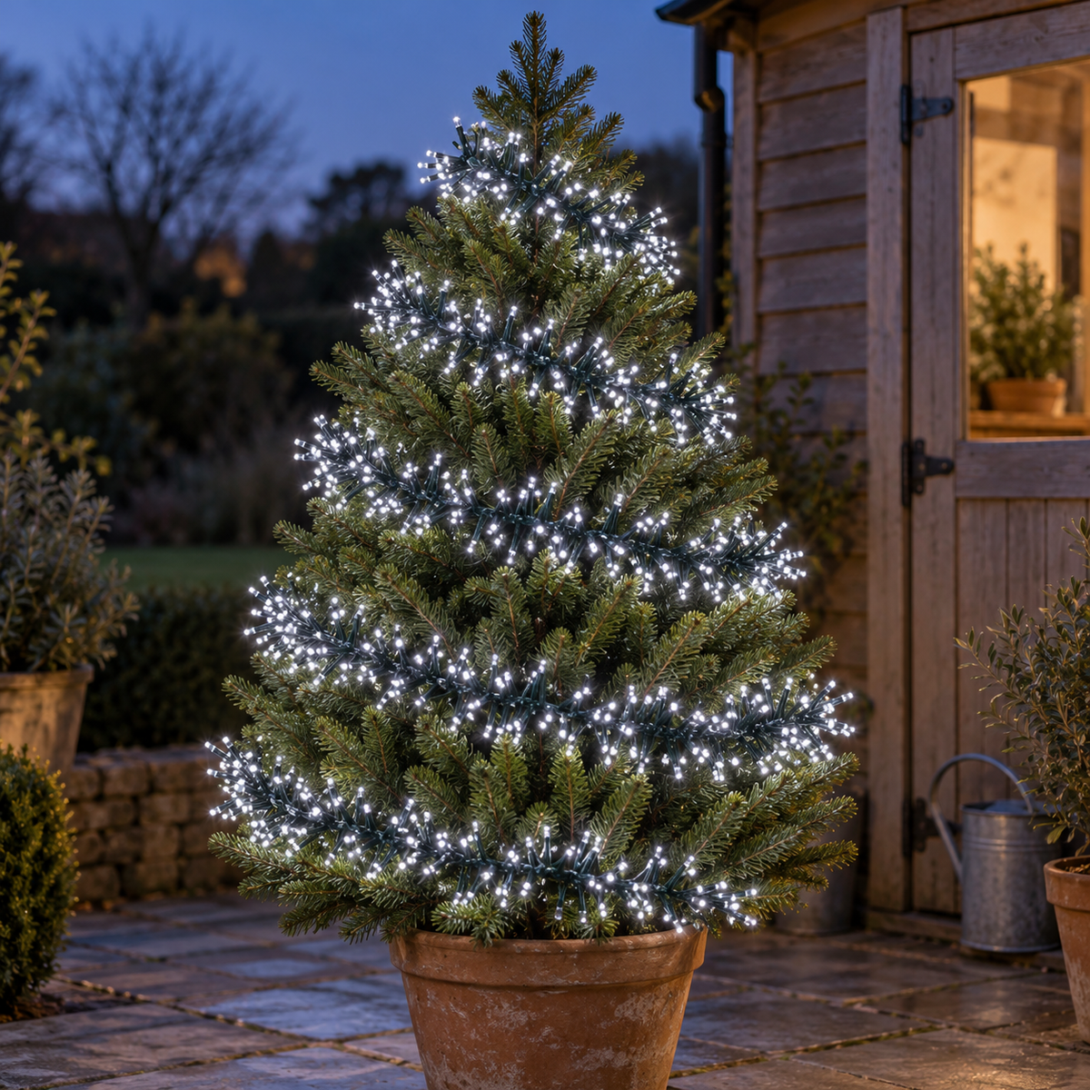 960 White LED ClusterBrights with Timer, 12.4m