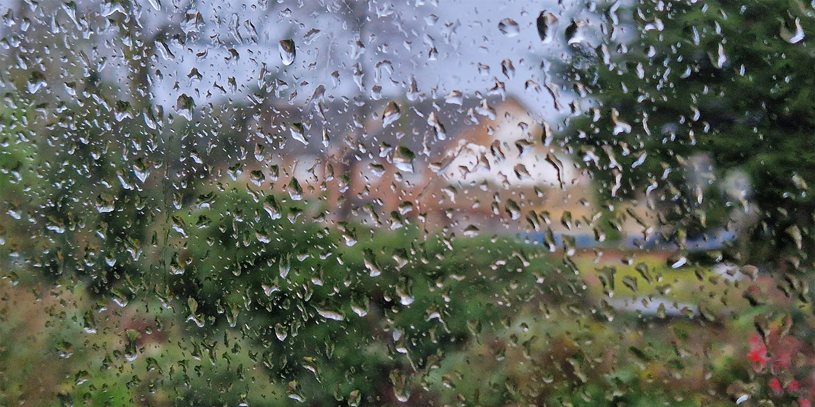 Why it’s so wet right now and what it means for British gardeners