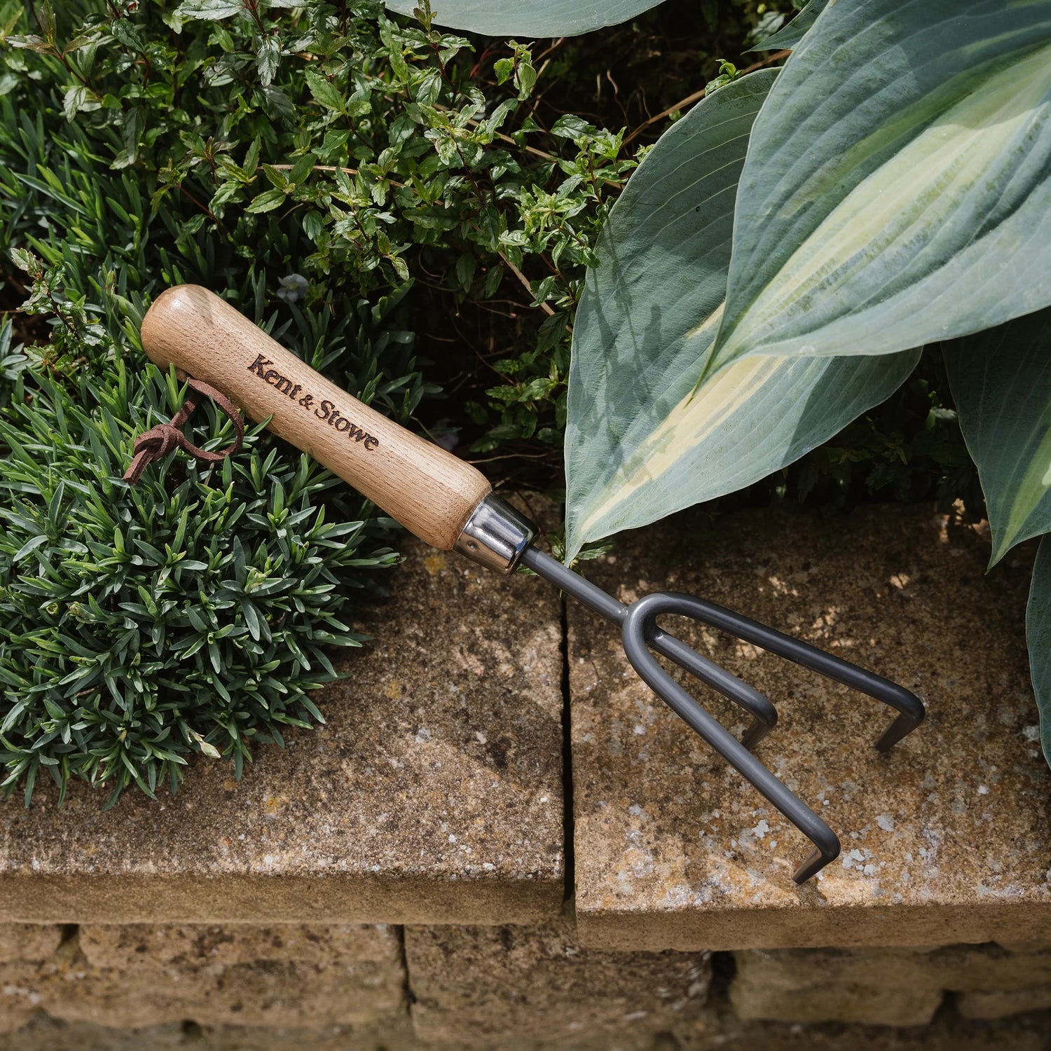 Carbon Steel Hand 3 Prong Cultivator by Kent &amp; Stowe