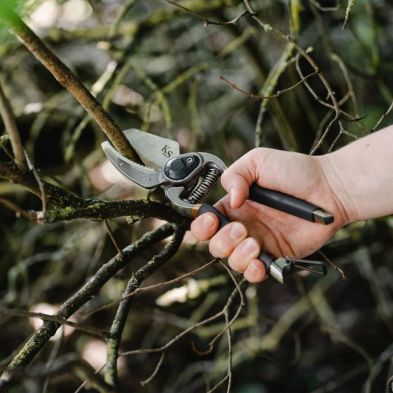 Traditional Anvil Secateurs by Kent &amp; Stowe