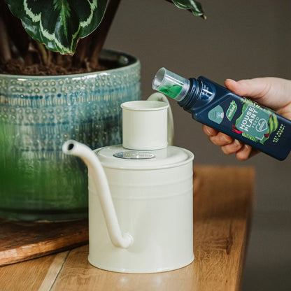 Kent &amp; Stowe Indoor Watering Can 1L