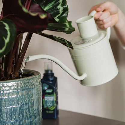 Kent &amp; Stowe Indoor Watering Can 1L