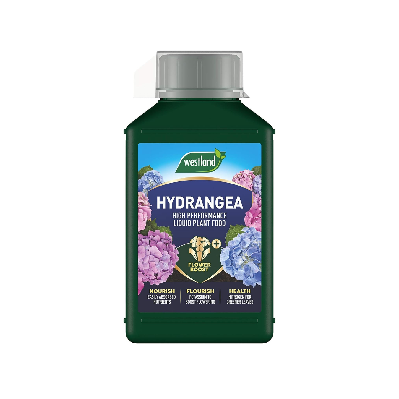 Westland Hydrangea Liquid Plant Food - 1 Litre