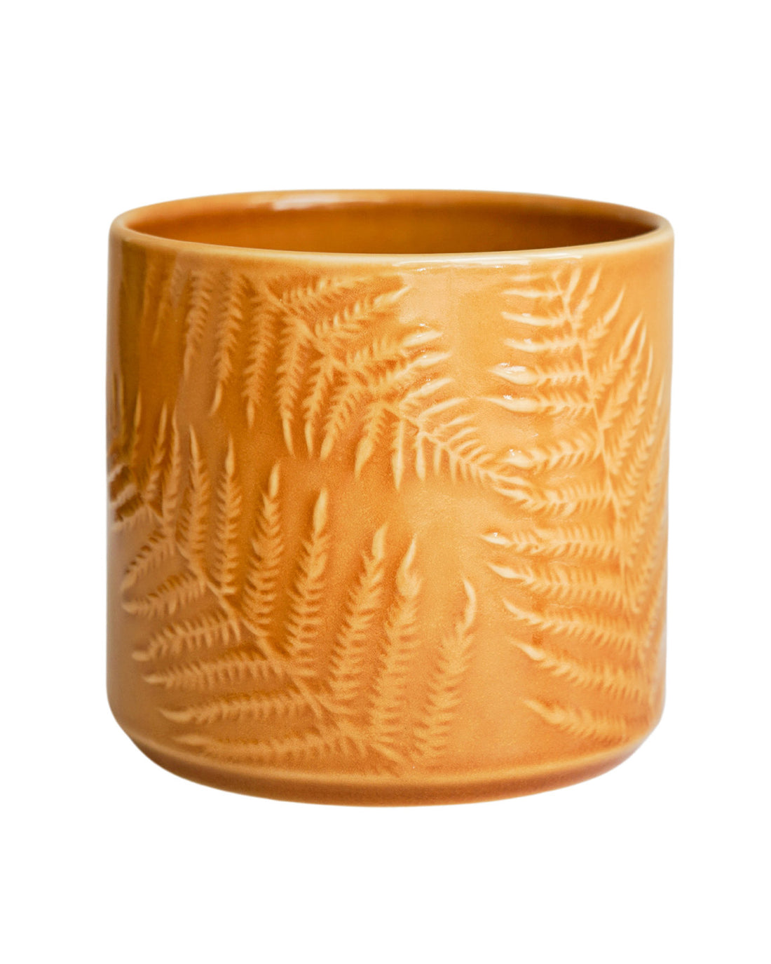 Orla Glazed Fern Mustard Planter