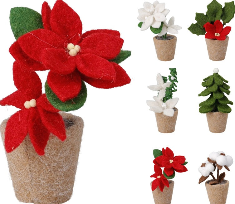PLANT IN POT FELT 15CM 6ASS D