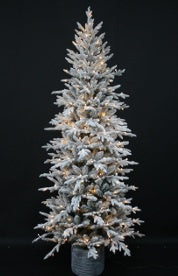4ft Prelit Piedmont Pine in Pot WW LEDs