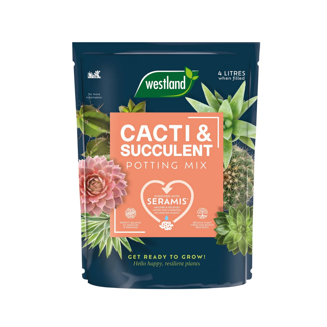 Cactus &amp; Succulent Potting Mix 4L
