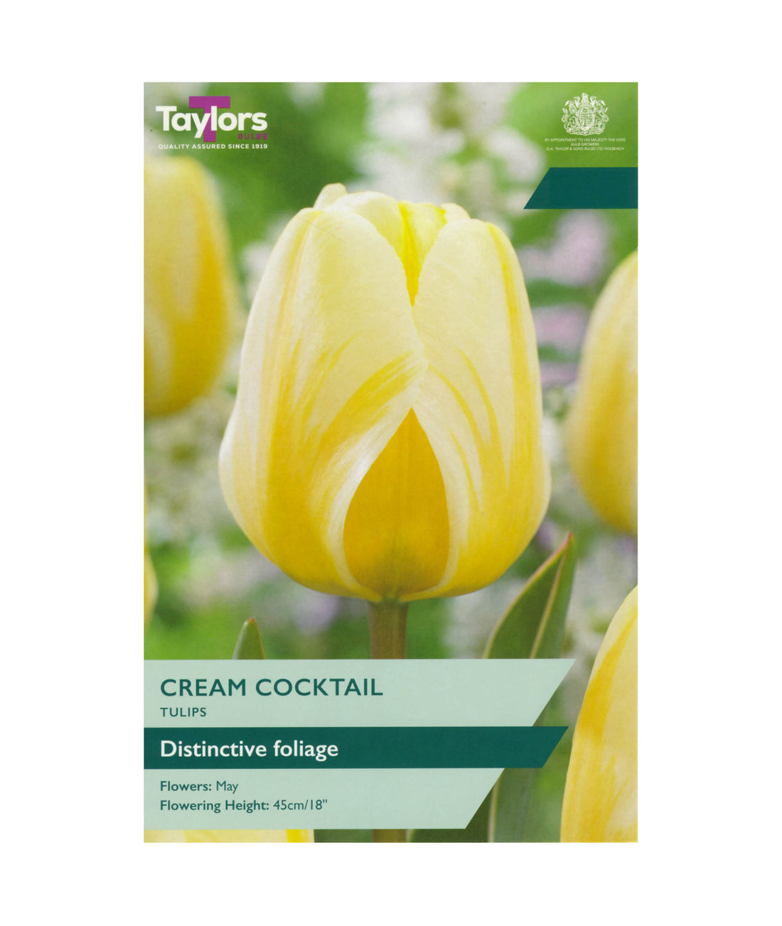 Tulip &