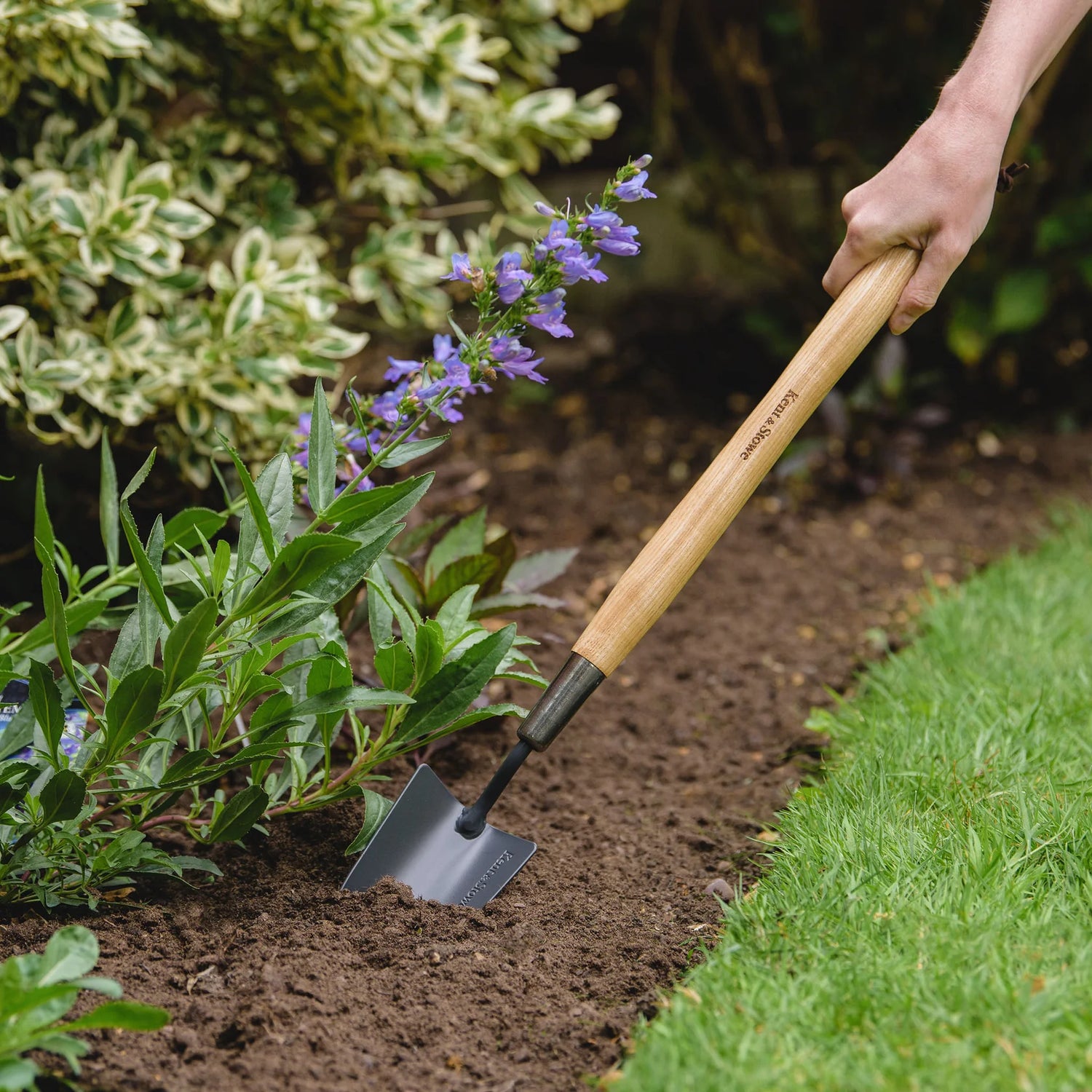 Carbon Steel Border Hand Trowel  by Kent &amp; Stowe