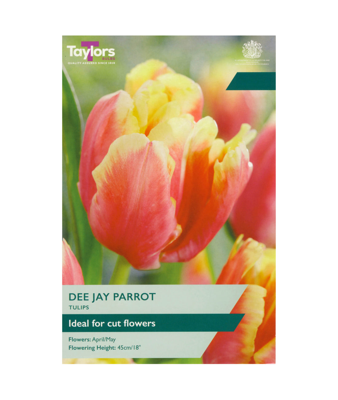 Tulip &