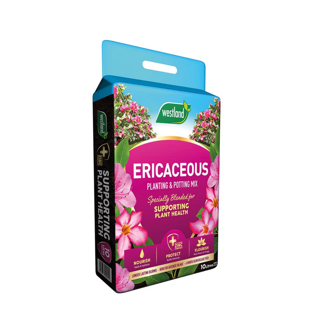 Westland Ericaceous Planting &amp; Potting Mix (25L)