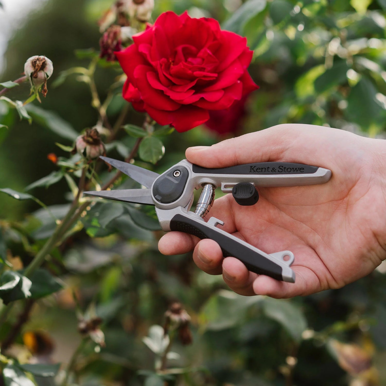 Eversharp Garden Snips by Kent &amp; Stowe