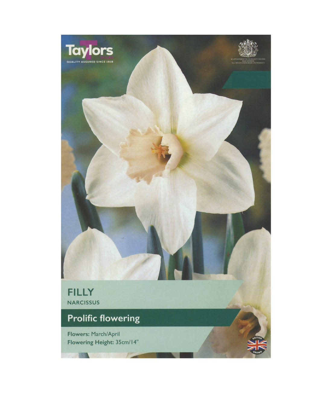 Narcissi &
