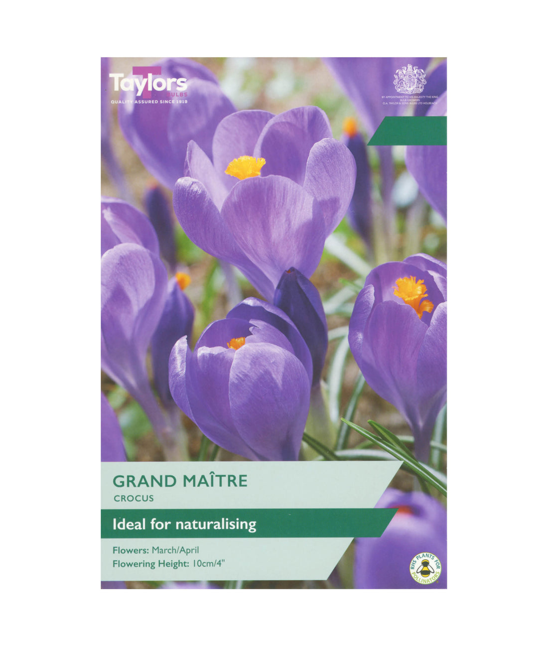 Crocus &