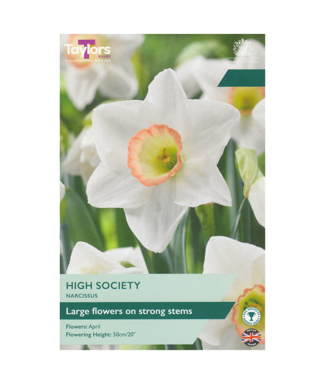 Narcissi &