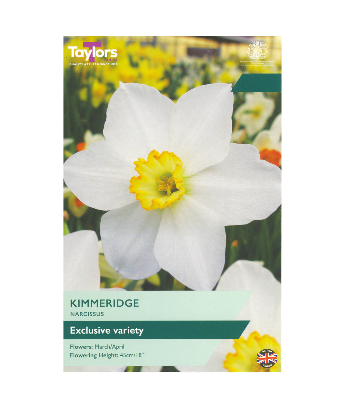Narcissi &