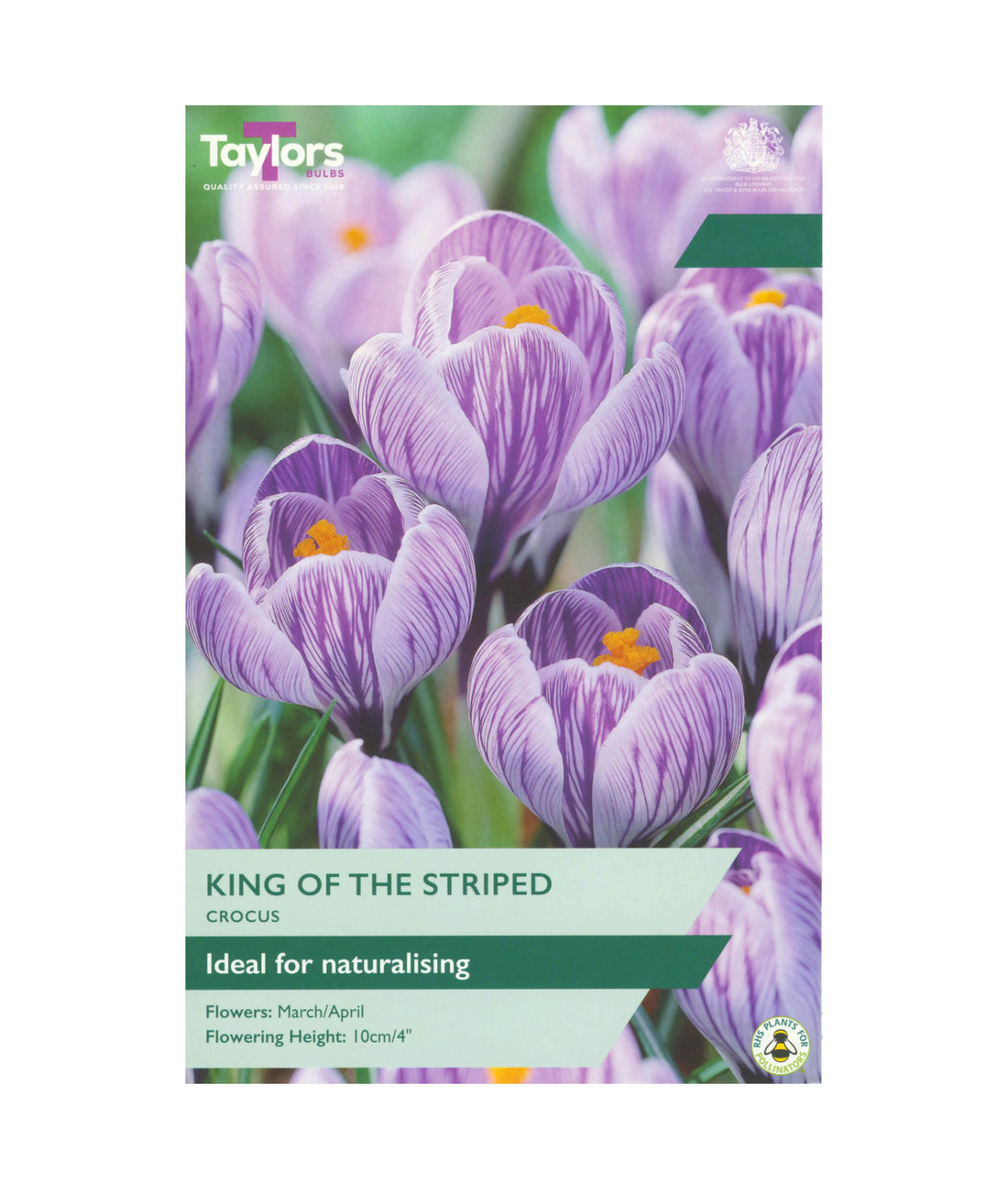 Crocus &