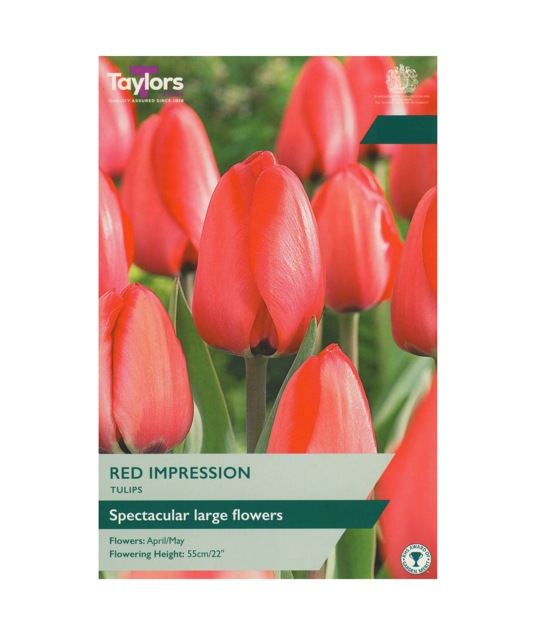 Tulip Red Impression - X15