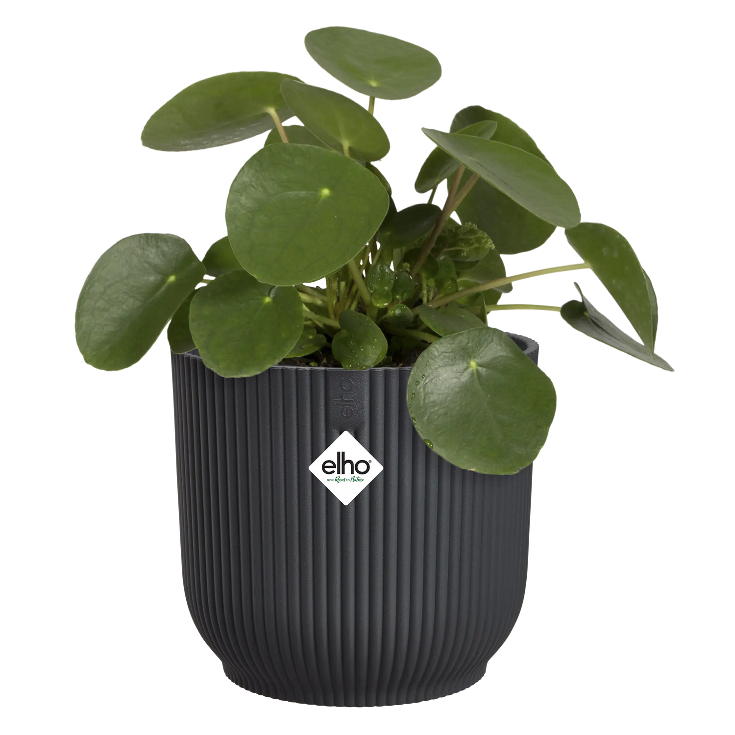 Vibes Fold Round 14cm Anthracite Pot by Elho