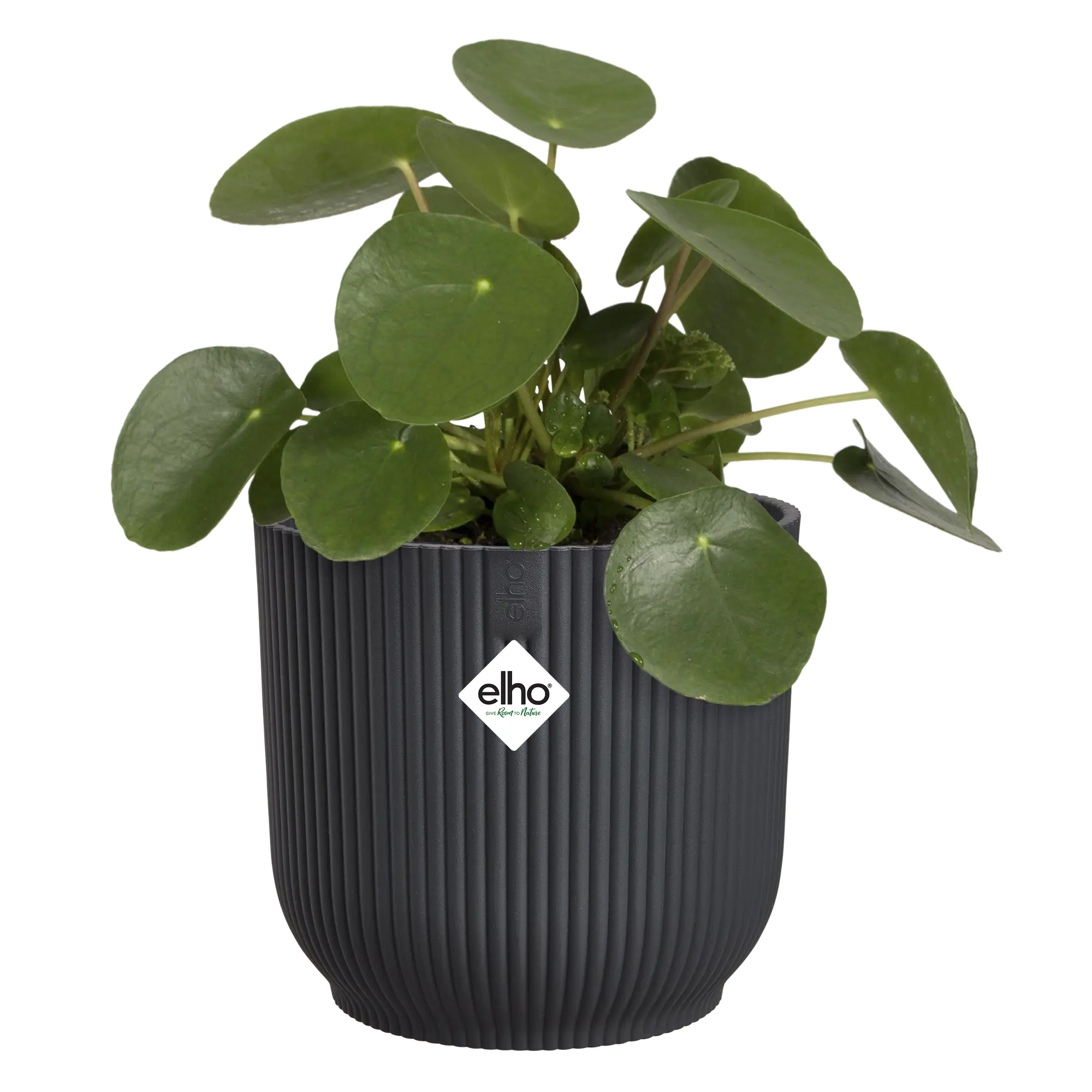 Vibes Fold Round 14cm Anthracite Pot by Elho