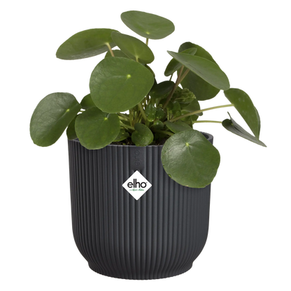 Vibes Fold Round 14cm Anthracite Pot by Elho