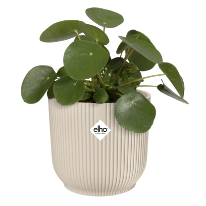 Vibes Fold Round 16cm Linen White Pot by Elho