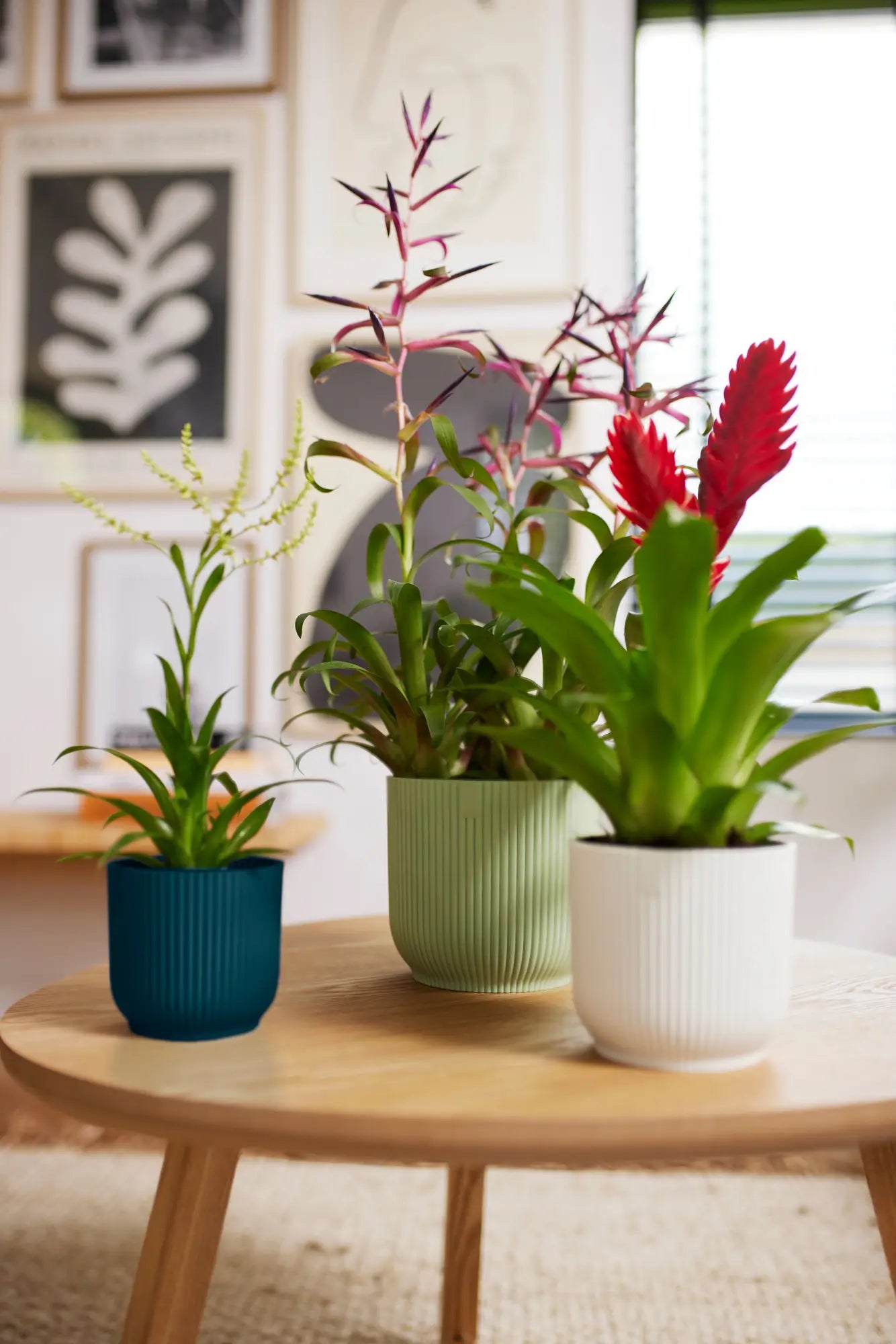 Vibes Fold Round 16cm Sorbet Green Pot by Elho