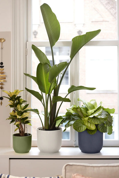Vibes Fold Round 14cm Anthracite Pot by Elho