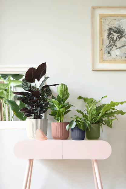 Vibes Fold Round 14cm Anthracite Pot by Elho